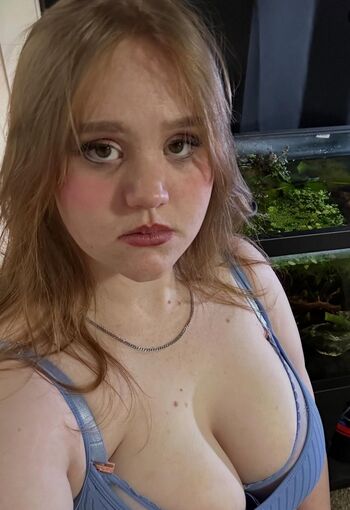 Alayne Noelle