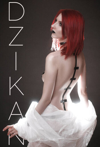 Dzikan