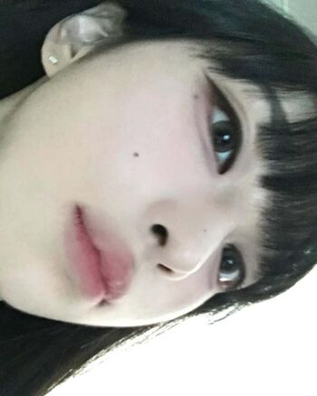 latulip_0