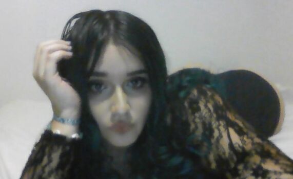 paloma