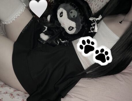 pawprjnts