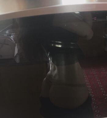 sailorp69