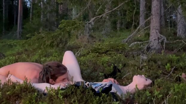 Swedish Forest